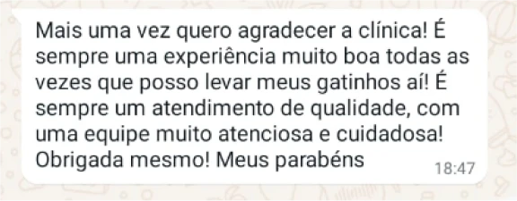 export - 2025-05-19T094847.646