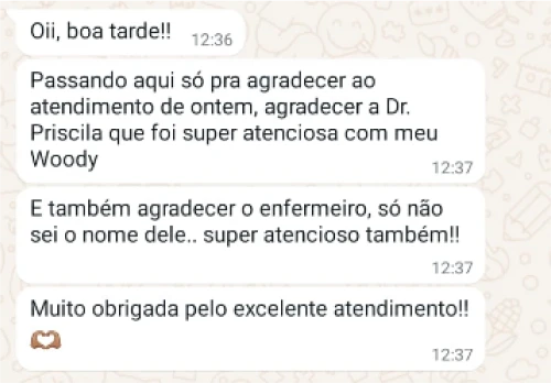 export - 2025-05-19T094854.336